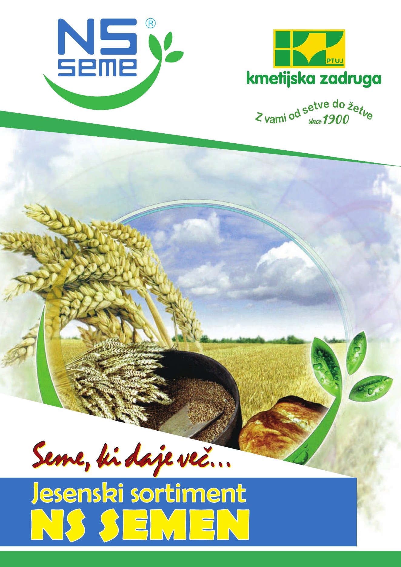 Katalog NS Seme – jesen 2020
